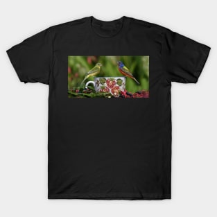 Painted Bunting Birds T-Shirt